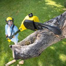 Best Lawn Mowing Services  in Tunkhannock, PA